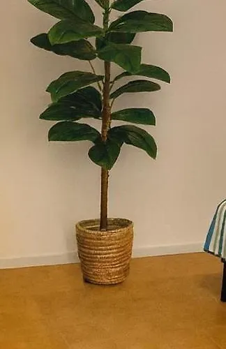 Blu Mare * Punta Marina