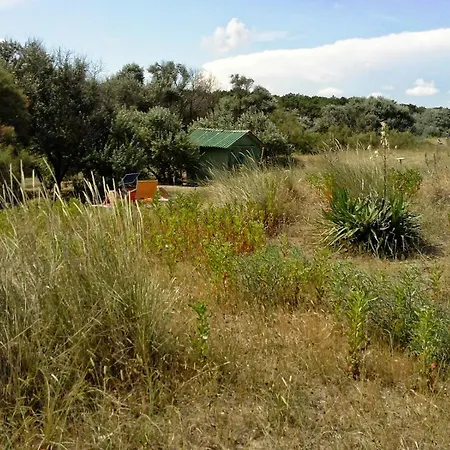 Blu Mare Appartamento Punta Marina