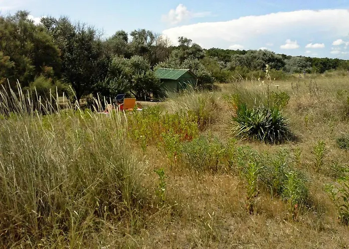 Blu Mare Appartement Punta Marina